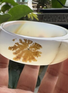 花语玉髓天然海洋玉髓马料草花玛瑙手镯圈口54.5