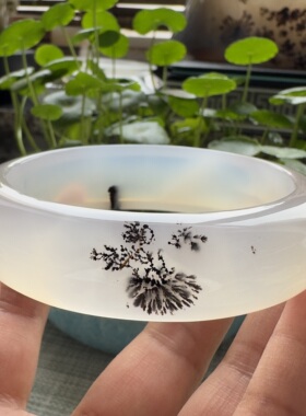 花语玉髓 天然海洋玉髓马料高冰水墨发丝玛瑙手镯圈口60mm