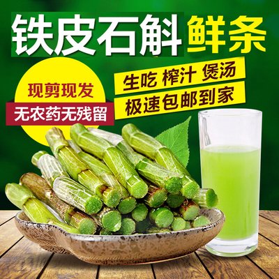 铁皮石斛鲜条榨汁泡水煲汤现摘