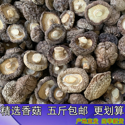 新货 湖北特产香菇干货散装精选 馅料五斤包邮 冬菇香菌 剪脚