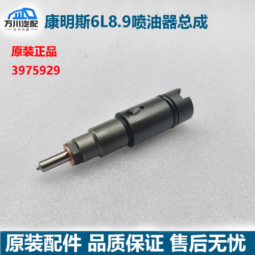东风康明斯6L8.9发动机喷油器总成天龙375马力燃油喷嘴3975929