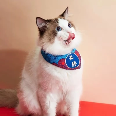 国风系列猫咪三角巾新款高颜值拍照围兜防抓防脱口水巾围脖小型犬