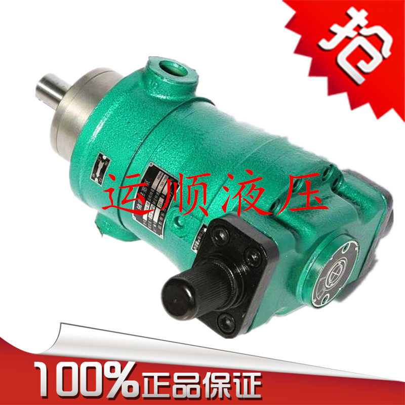 上海 启东高压精工牌 上海高压轴向柱塞泵100PCY14-1B/D/BF|msdalam kategori perkakasan/alat, perkakasan elektrik, pam, Lain-lain jenis pam - dari Buy2taobao.com untuk memberikan perkhidmatan ejen Taobao profesional membeli