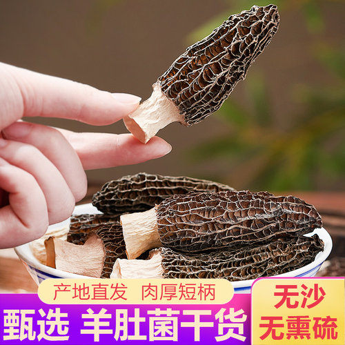 新货云南特产新鲜剪柄羊肚菌干货