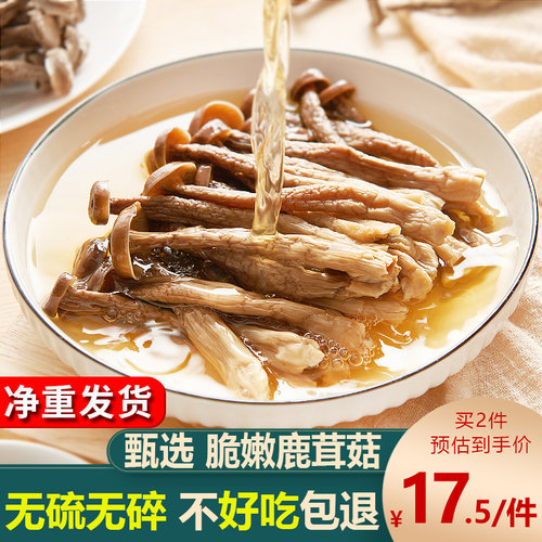 新鲜鹿茸菇干货云南优质鹿茸菌