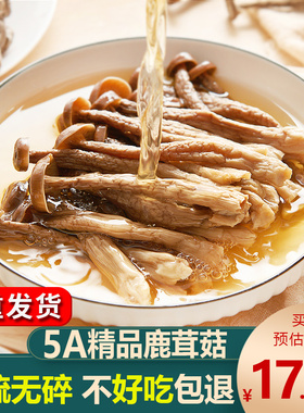 5A精品鹿茸菇干货非特级鹿茸菌云南特产煲汤脆姑蘑菇香菇2件500g