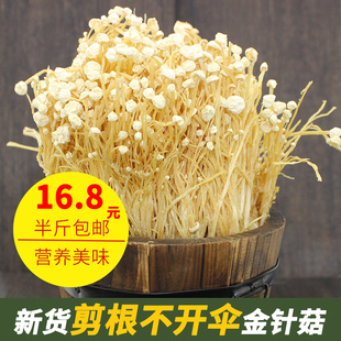 新鲜农家金针菇干货250g剪根未开伞白金针香菇土特产非特级茶树菇