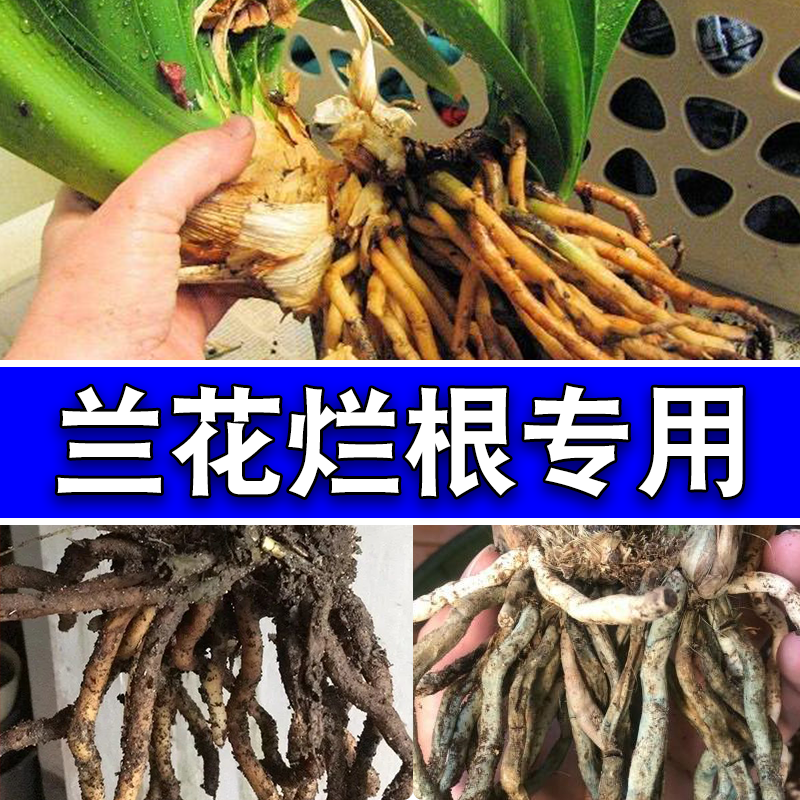 兰花根腐病专用药多肉花卉恶霉灵立枯病猝倒枯萎病土壤消毒杀菌剂,农用物资,杀菌剂,淘宝优惠券,粉丝福利购,淘宝优惠卷