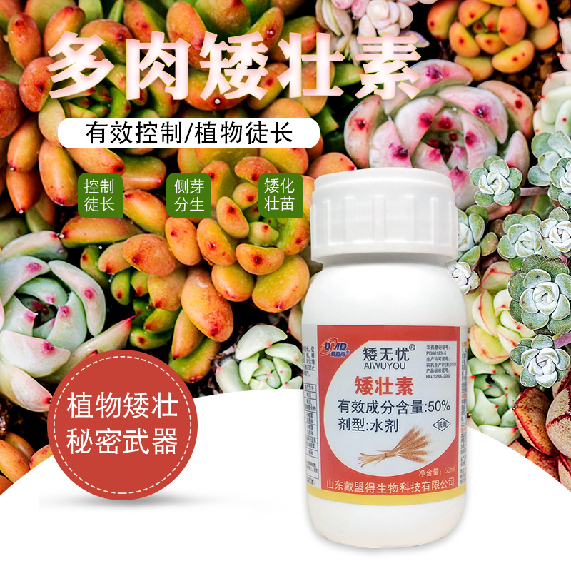 多肉月季矮壮剂矮壮素矮胖素营养液增肥花卉植物控徒长矮肥圆控型