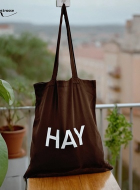 HUE 美拉德棕色HAY字母印花布包购物袋托特包斜挎包帆布包通勤包