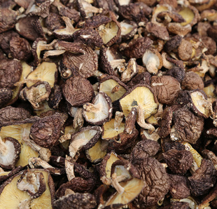 椴木香菇野生香菇米仓山特产青冈香菇干菇旺苍土特产