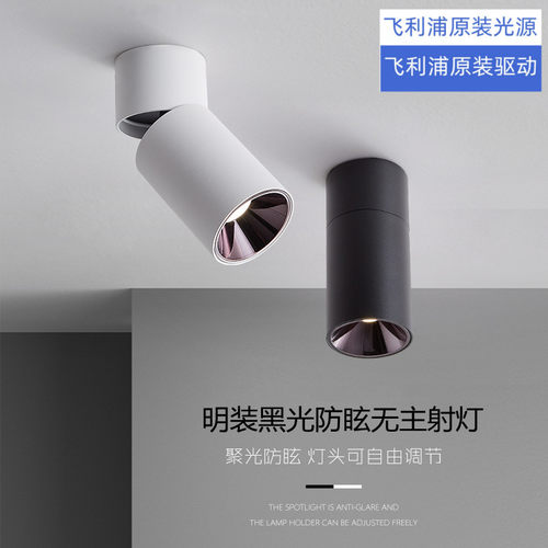 圆形明装射灯LED智能吸顶式可调角黑色全光谱背景墙玄关照画射灯