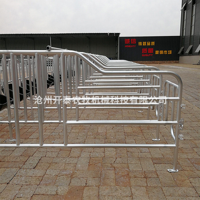 厂家定制落地式猪用定位栏加重欧式限位栏养猪场母猪隔离栏定位栏