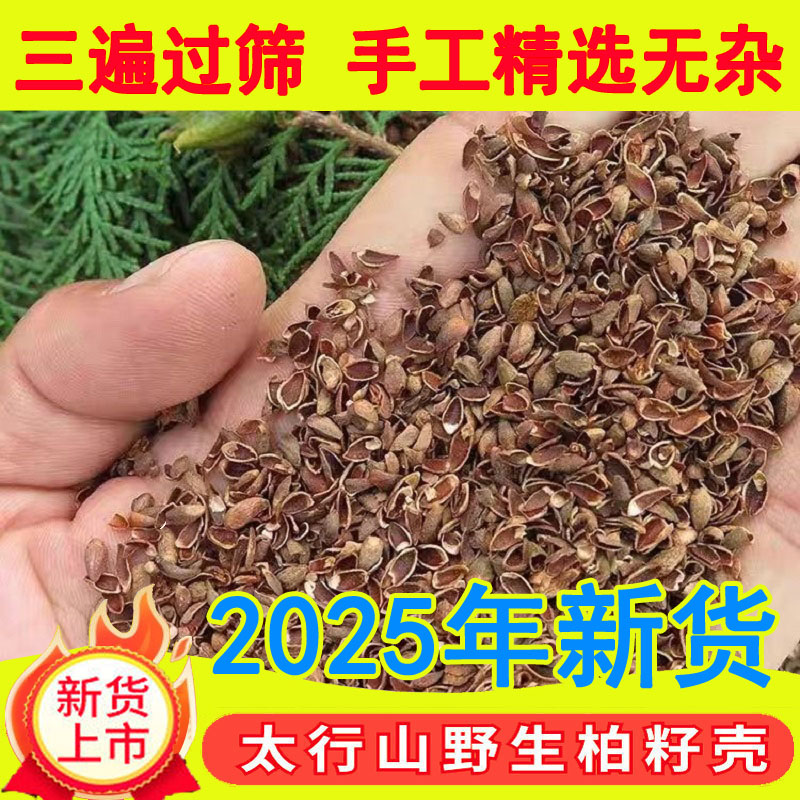 太行山柏籽壳野生柏子壳新货侧柏