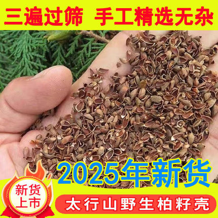 太行山柏籽壳野生柏子壳新货干净侧柏籽壳中药枕纯植物松柏壳枕芯