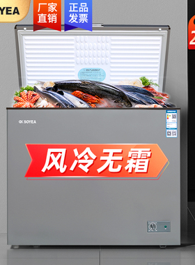 索伊Soyea/BC/BD-200W冷冻转换柜家用风冷无霜冷柜冰柜卧式单门