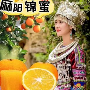 湖南麻阳锦蜜冰糖橙正宗当季农家甜橙新鲜水果薄皮纯甜橙多汁橙子
