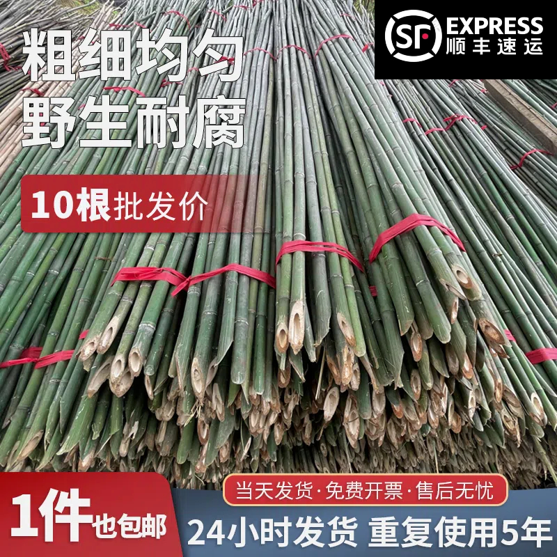 顺丰发货野生竹竿可反复使用多年