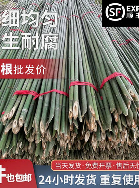 顺丰发货野生竹竿可反复使用多年