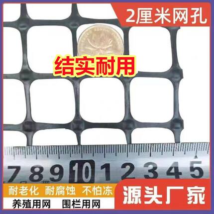 超厚小孔加密防鸟育雏养殖鸡漏粪加厚塑料围栏网养殖网小孔塑料网