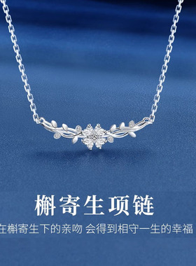 爆款高级感简约气质锁骨链礼物