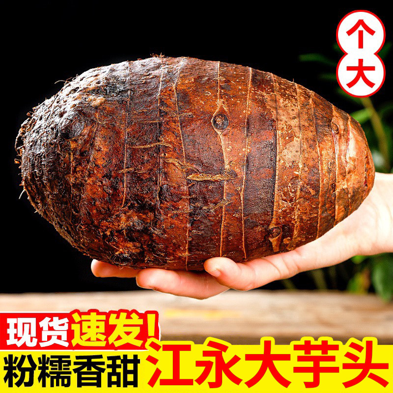 正宗湖南江永香芋新鲜毛芋头农家自种现挖粉糯槟榔芋大果5斤包邮