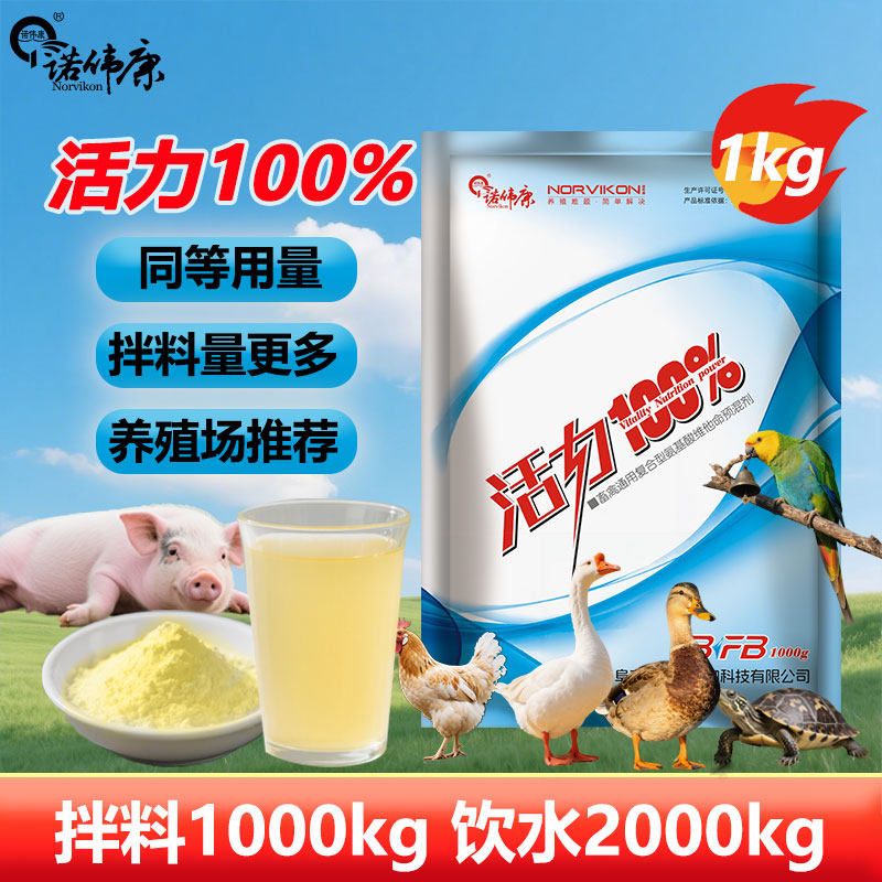 诺伟康 活力100兽用电解多维蛋鸡鸡复合多种微量维生素鸡鸭猪牛羊