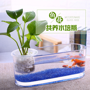 加厚桌面透明玻璃花瓶水培长方形水养植物容器创意鱼缸造景花瓶