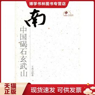 正版现货9787218065441南中国碣石玄武山  王杏元　著  广东人民出版社