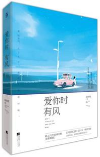 正版现货9787539991979爱你时有风 绿亦歌 著 江苏文艺出版社