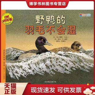 正版现货9787550208285野鸭的羽毛不会湿  戴维 （美——）  北京联合出版公司