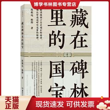 正版现货9787535688774藏在碑林里的国宝 毛笔书法 陈根远,杨烨