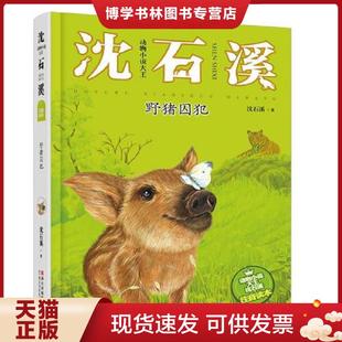 浙江少年儿童出版 正版 沈石溪著 野猪囚犯 社 现货9787534298707动物小说大王沈石溪·注音读本