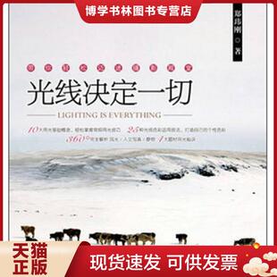 正版现货9787115315434光线决定一切  郑玮刚著 人民邮电出版社  郑玮刚  人民邮电出版社