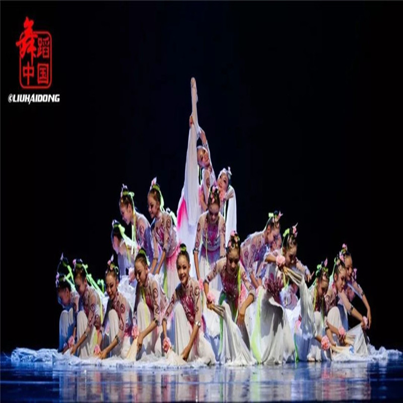 荷花奖花开时节动京城舞蹈服古典团体演出服新款扇子舞考级秧歌服