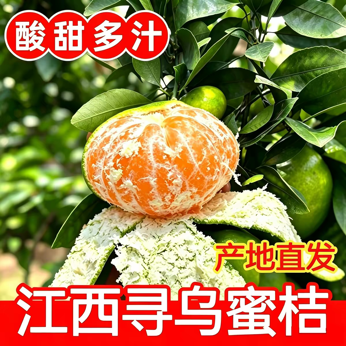 江西赣南寻乌蜜桔现摘水果9斤