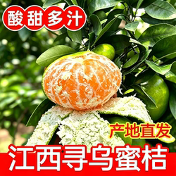 寻乌蜜桔江西赣南特产橘子现摘现发9斤新鲜水果5薄皮当季整箱包邮