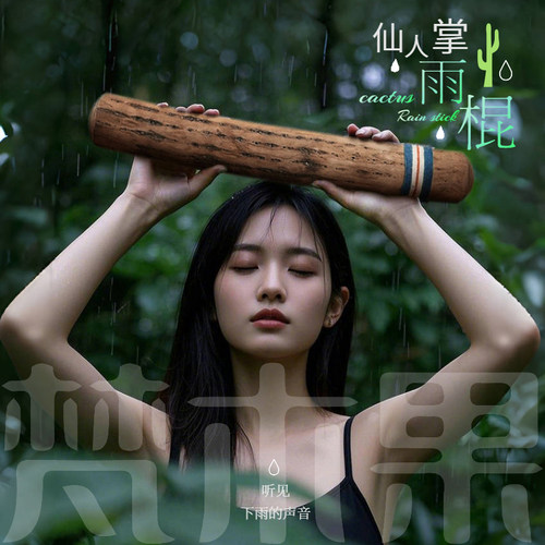 小众乐器南美智利雨棍