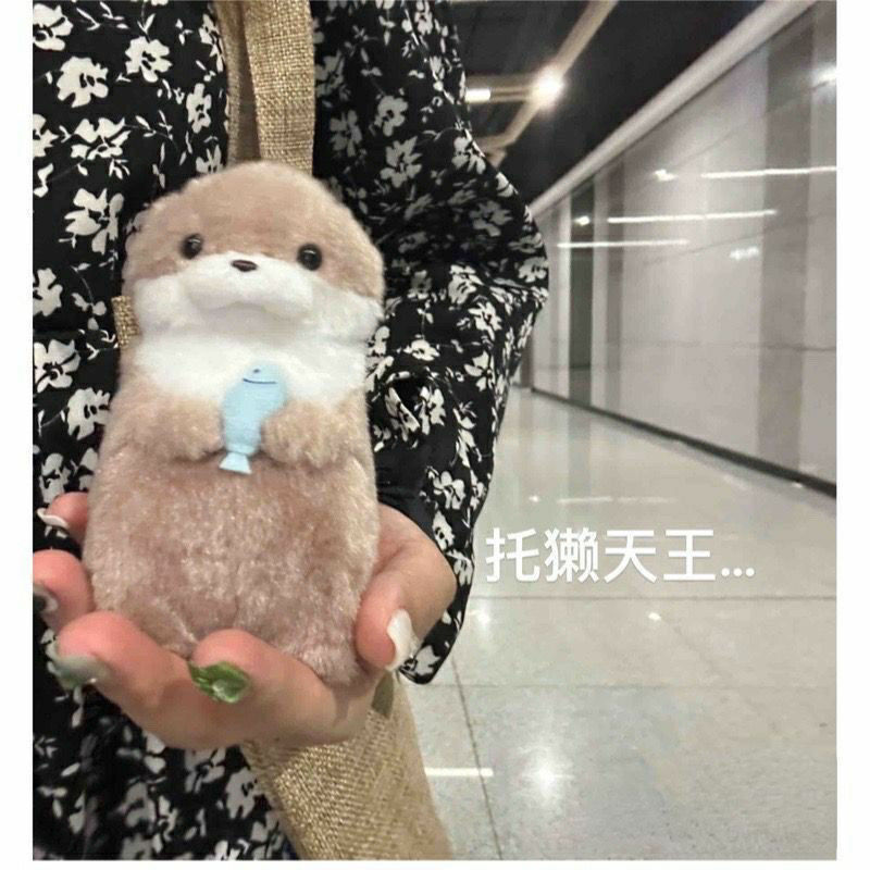 amuse可爱小水獭抱鱼毛绒玩偶挂件公仔礼物李灿送礼可爱创意礼物