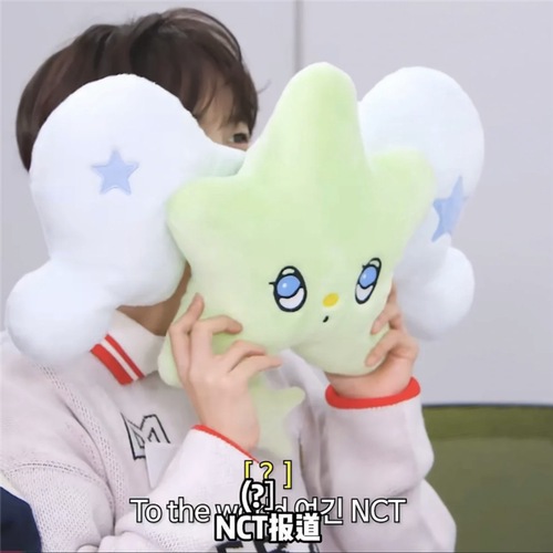 NCT朴志晟wichu栗子抱枕n