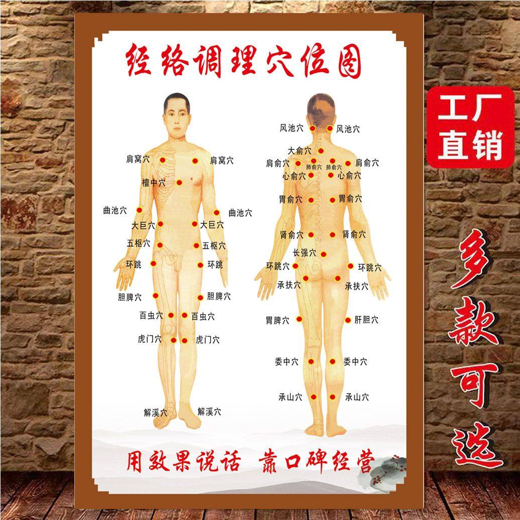 拔罐穴位图中医养生馆海报墙贴人体全身挂画背景墙装饰画贴画贴纸,家居饰品,现代装饰画,淘宝优惠券,粉丝福利购,淘宝优惠卷
