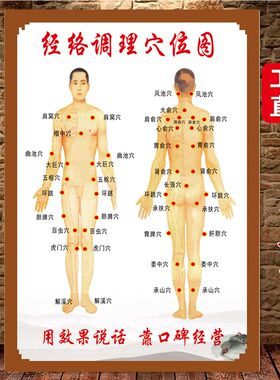 拔罐穴位图中医养生馆海报墙贴人体全身挂画背景墙装饰画贴画贴纸