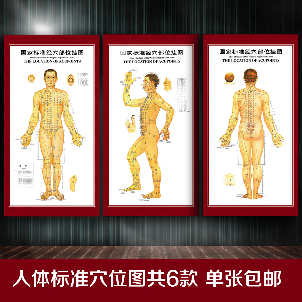 中医人体经络大挂图针灸宣传画