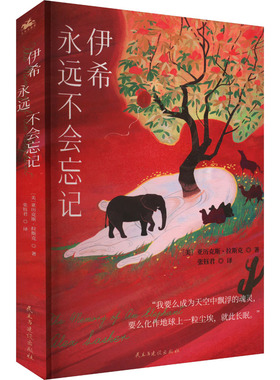 伊希永远不会忘记(美)亚历克斯·拉斯克外国现当代文学文学民主与建设出版社