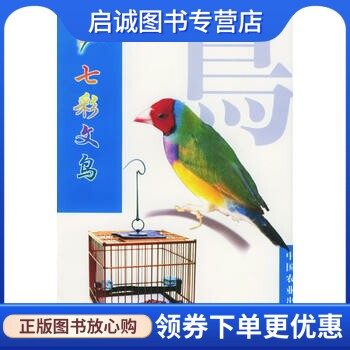 正版现货直发七彩文鸟王