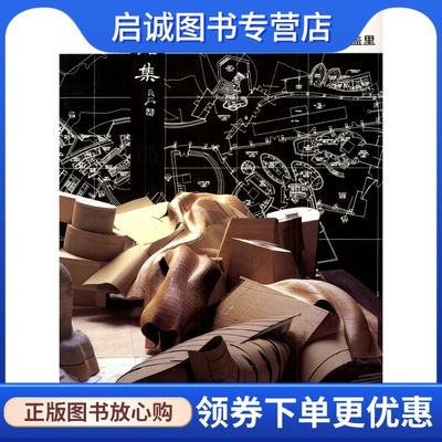 正版弗兰克盖里作品集(1991-1995),利维希,塞西利亚 ,薛皓东,天津大学出版社9787561816066