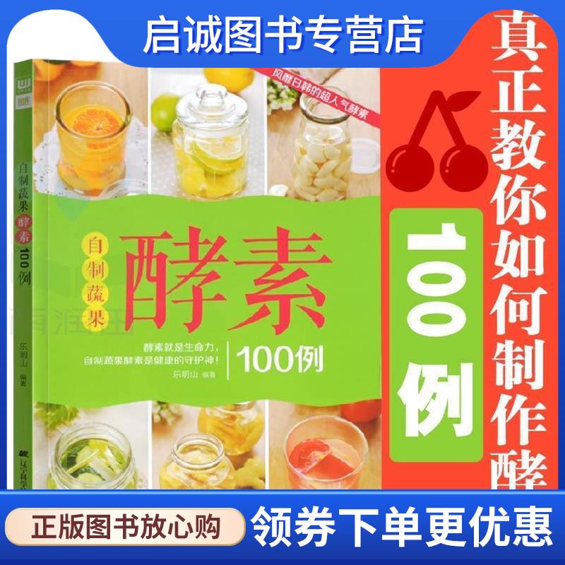 正版现货直发自制蔬果酵素100例 乐明山 编著 9787538197877 辽宁科学技术出版社