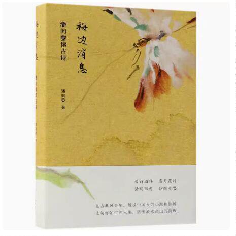 正版现货直发梅边消息:潘向黎读古诗 潘向黎 著 9787530218501 北京十月文艺出版社