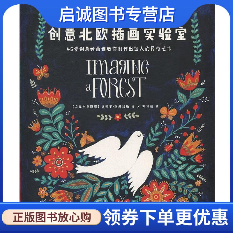 正版现货直发创意北欧插画实验室 [美]维罗妮卡·罗洛尔,黄诗情 9787558609329 上海人民美术出版社