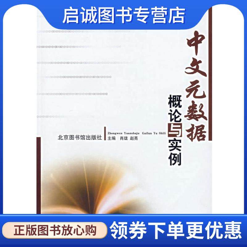 正版现货直发中文元数据概论与实例 肖珑 等 9787501334230 北京图书馆出版社